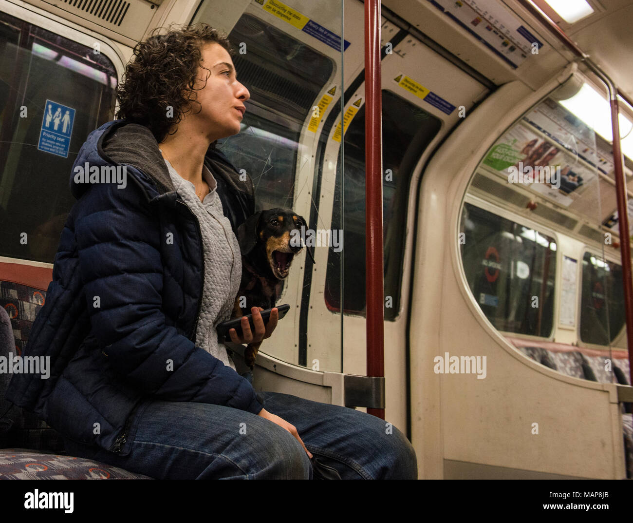Are Dogs Allowed On London Underground Tube Trains
