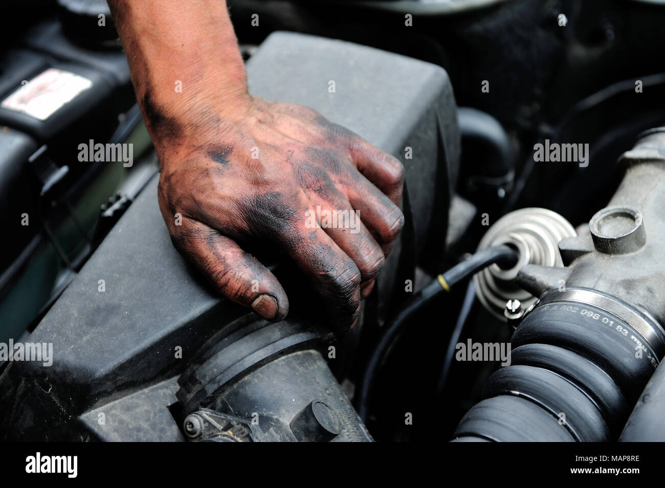 a person, a working, arm, black works, craftemployment, illegally employment, illicit workprofessional life, professionally, hard, danger, work Stock Photo