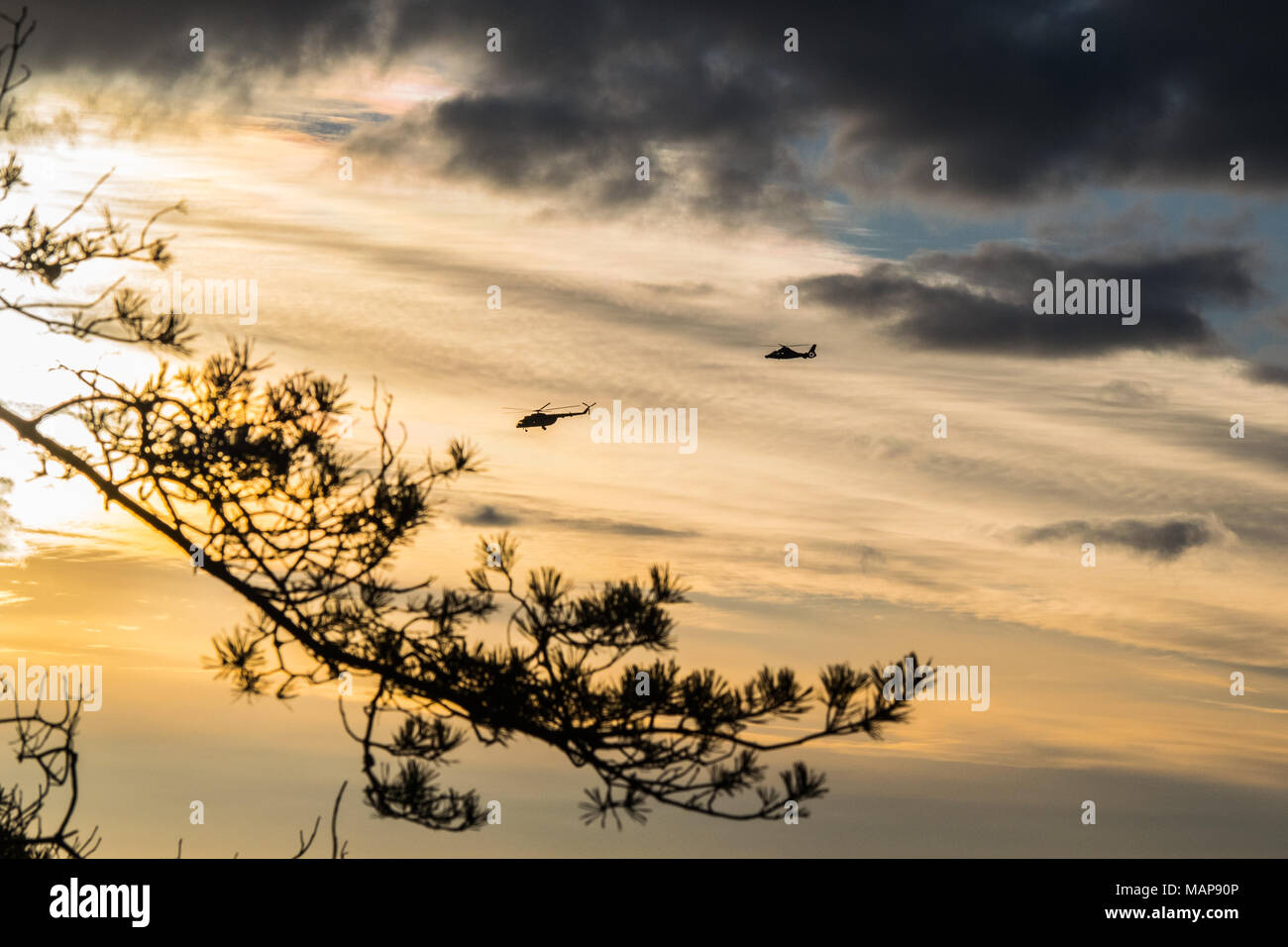 Golden helicopters hi-res stock photography and images - Alamy
