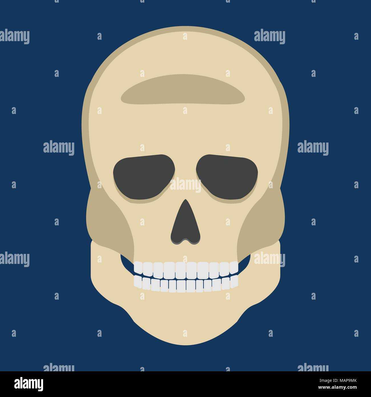 Human Skeleton Skull front side Silhouette. Isolated on White Background. Icon Vector illustration. Stock Vector