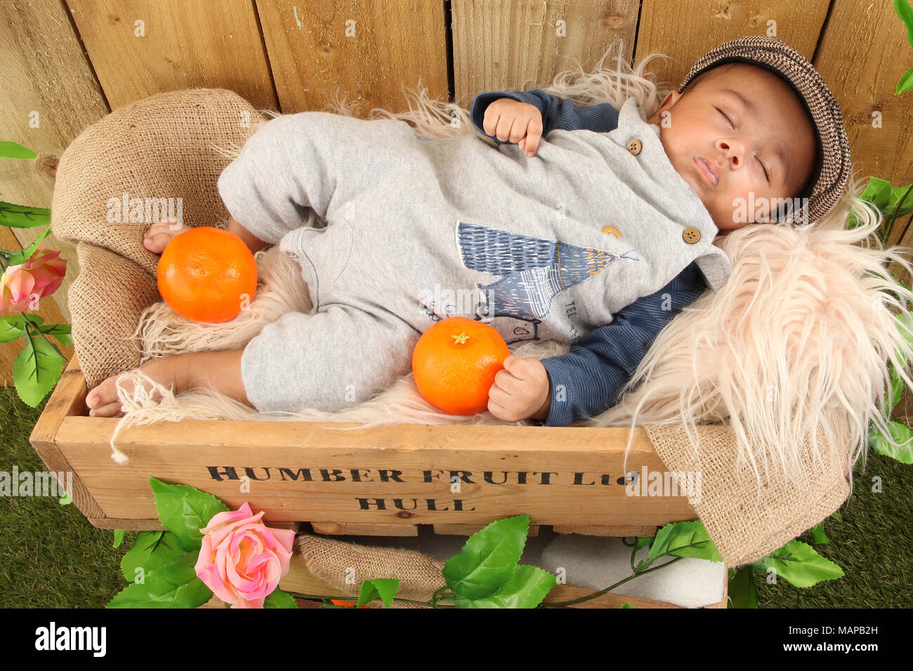 10 week old ethnic baby boy sleeping in fruit box Stock Photo