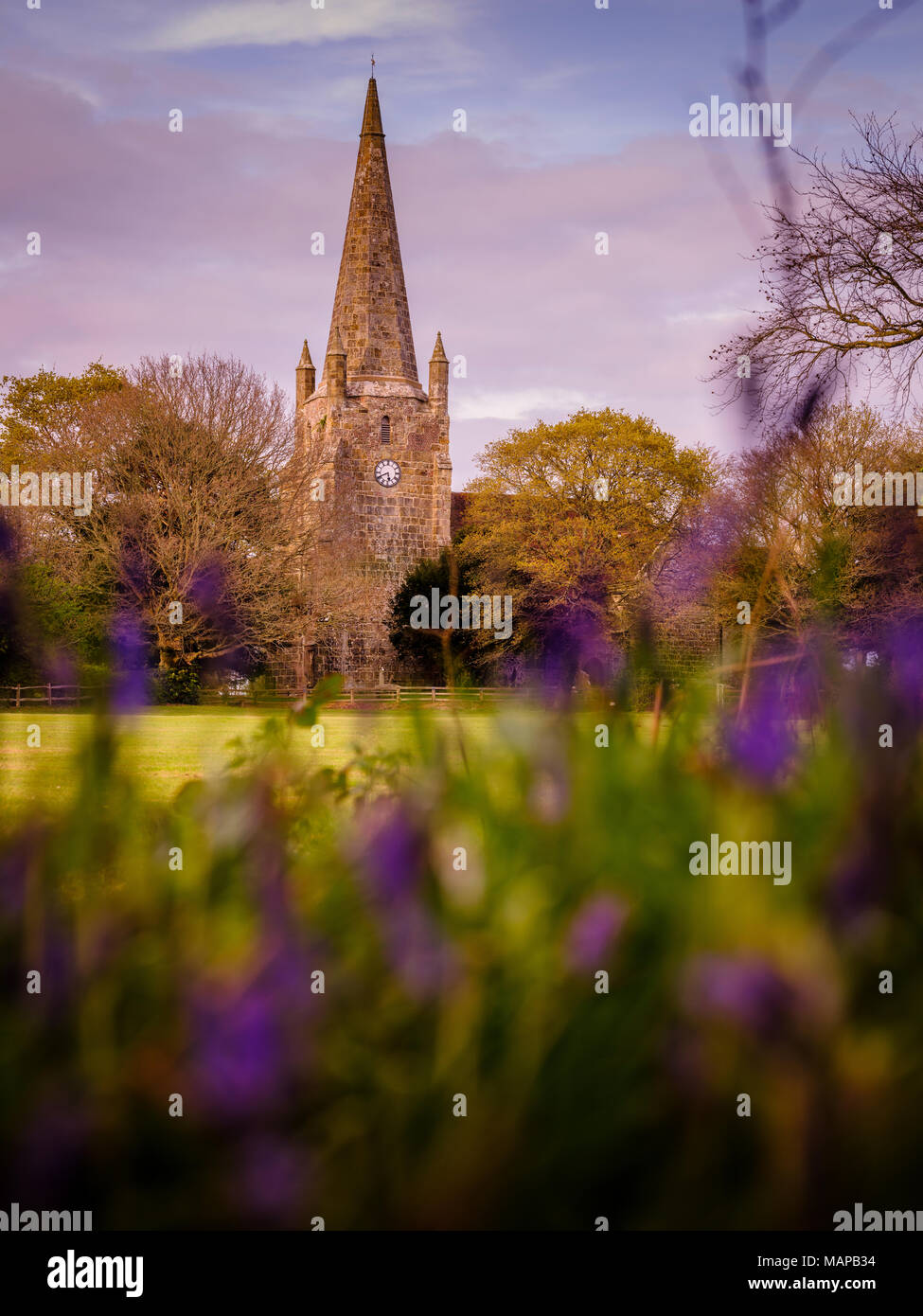 With a stone spire Chiddingly church viewed through bluebells and the cricket pitch. East Sussex, UK Stock Photo