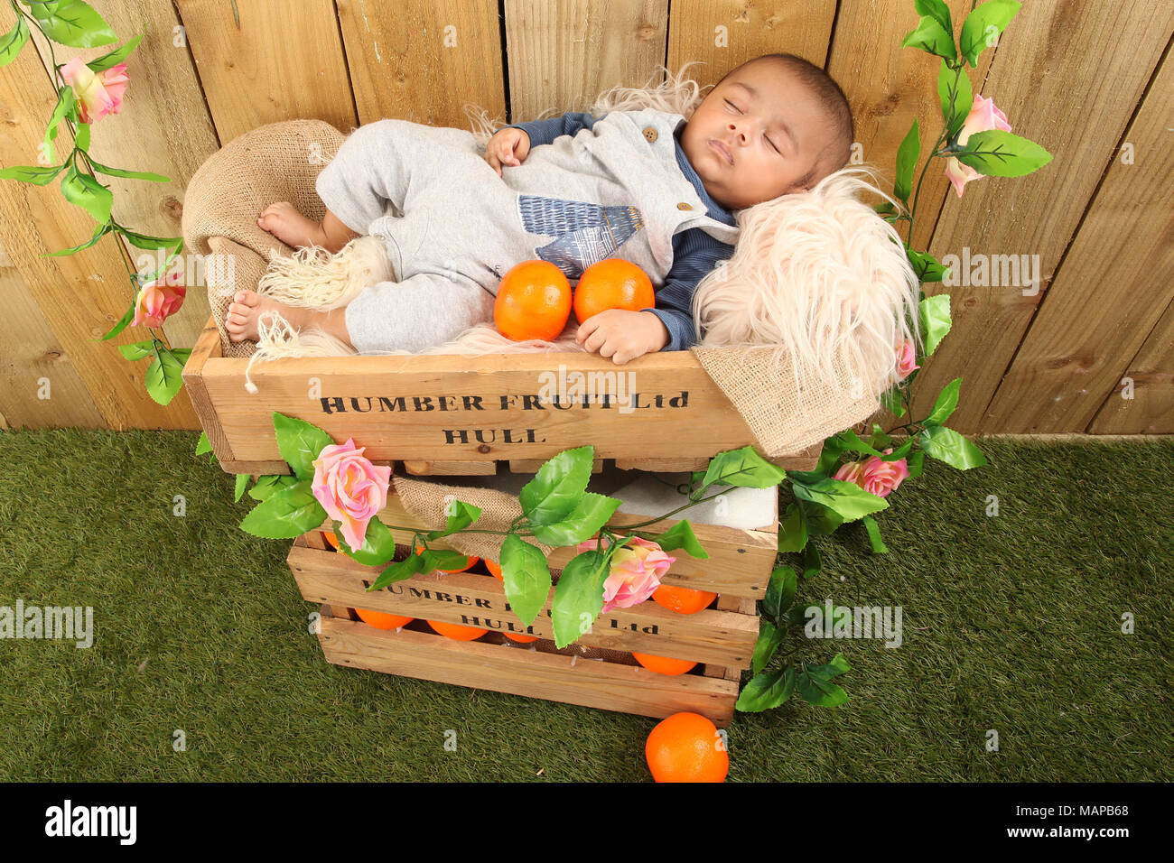 10 week old ethnic baby boy sleeping in fruit box Stock Photo