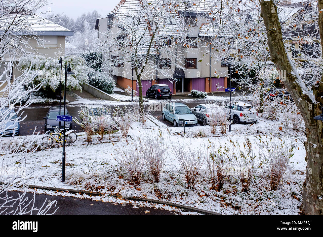 Parked snowy cars, residential district, snow, Strasbourg, Alsace, France, Europe, Stock Photo