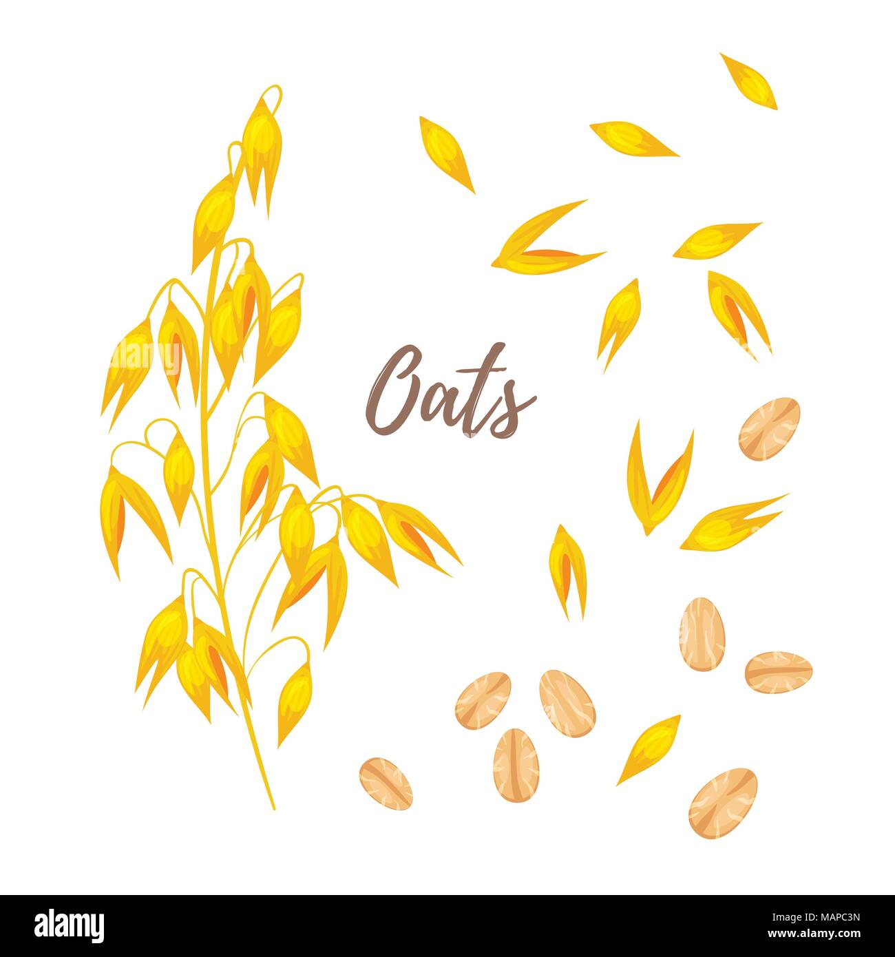 Oatmeal Vector Vectors Stock Photos & Oatmeal Vector Vectors Stock