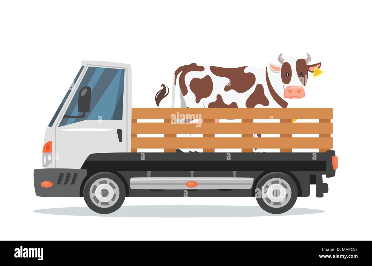Коровы в грузовике