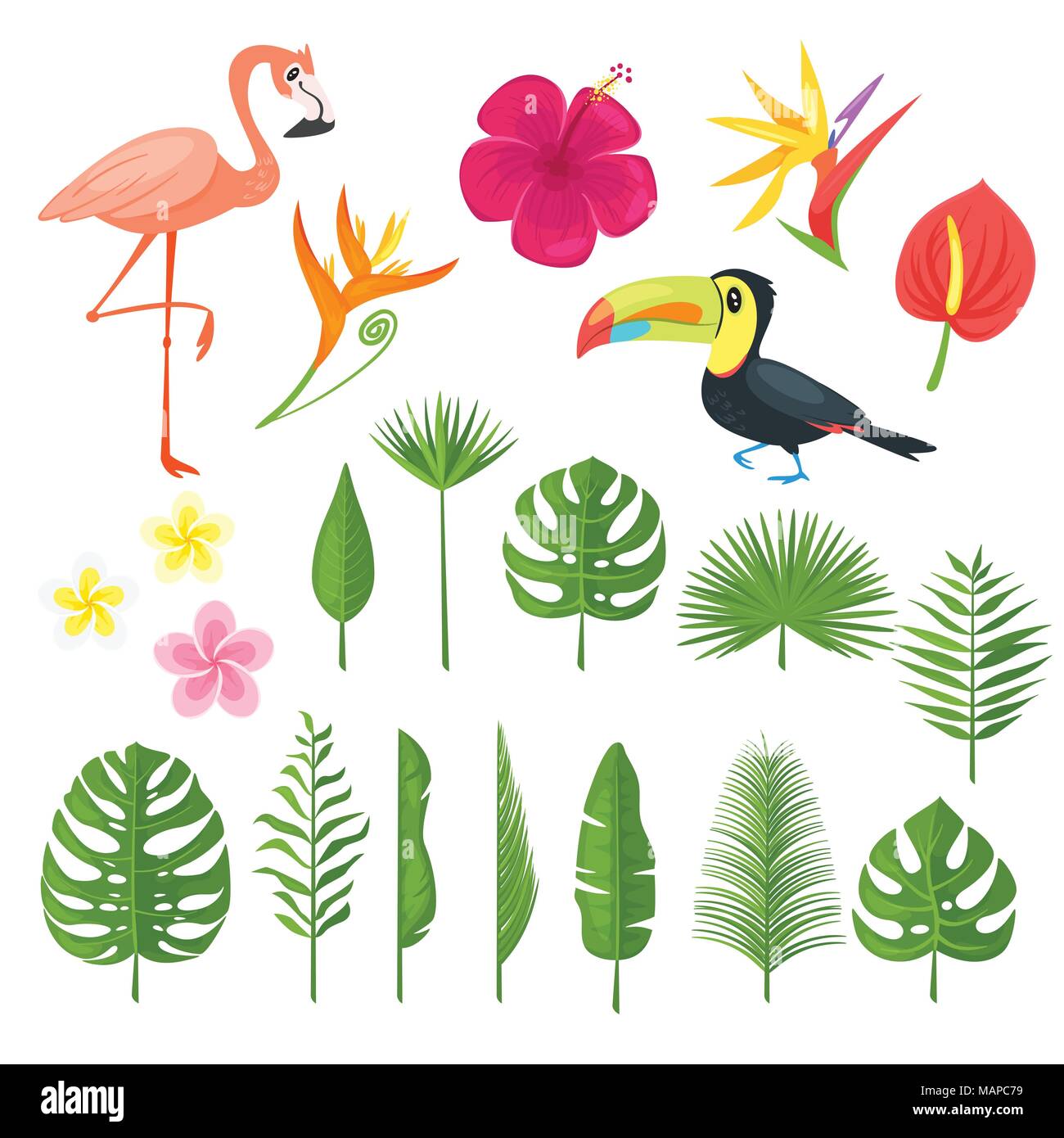 Vector cartoon style set of elements for summer tropic paradise designs ...