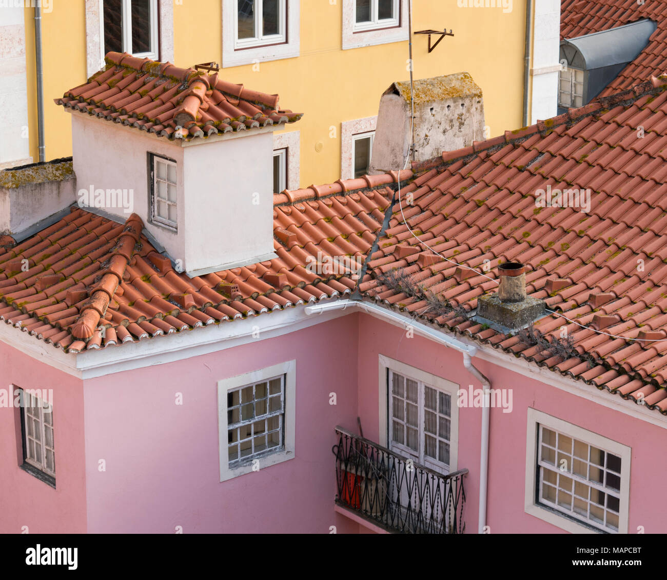 ALFAMA