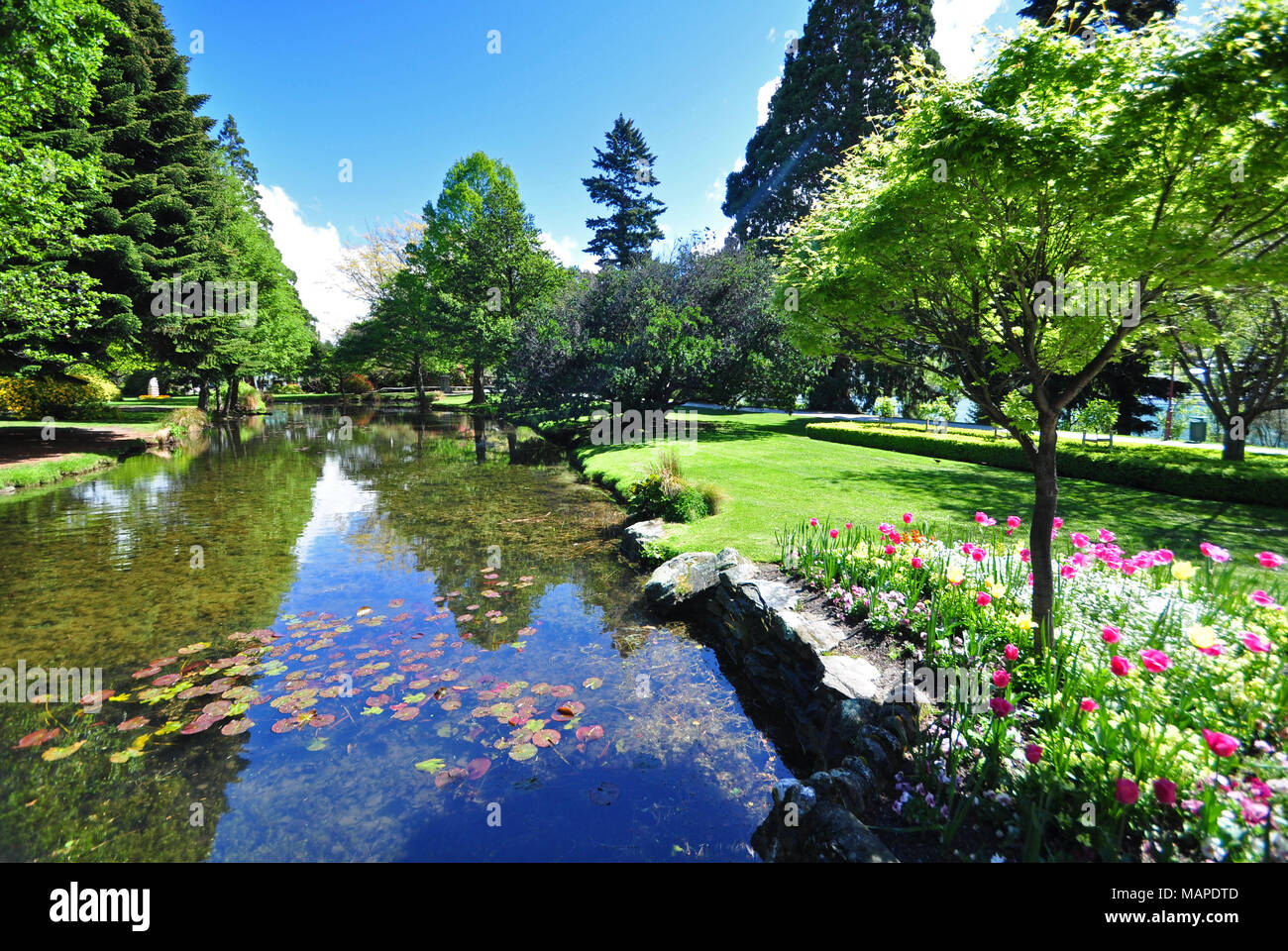 Queenstown botanical gardens hires stock photography and images Alamy