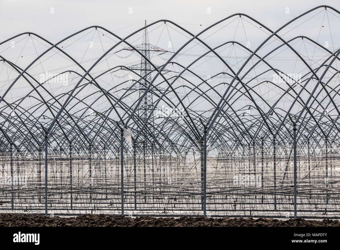 Agriculture, Greenhouses, mobile, made of plastic, plastic tunnel, for