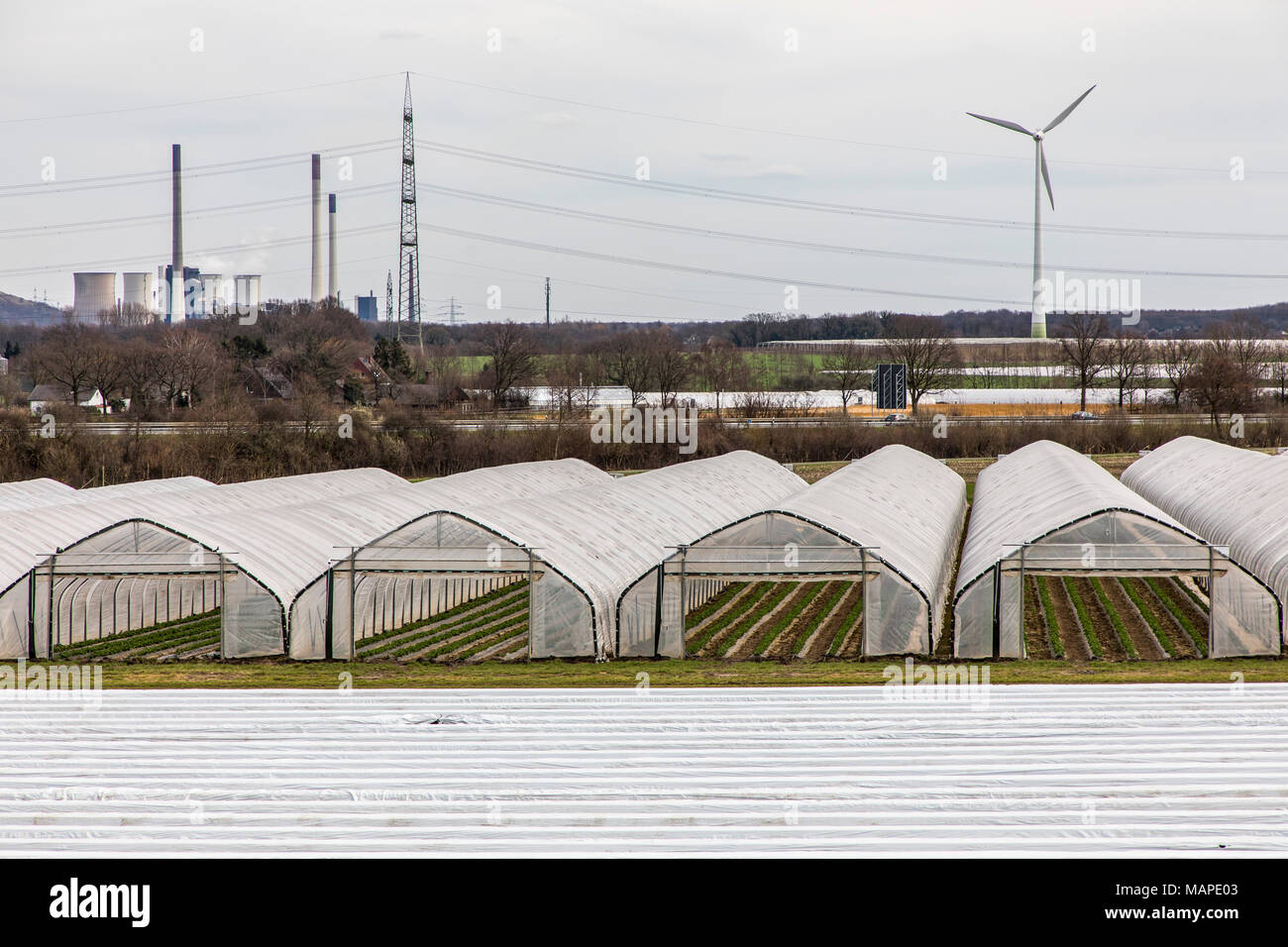 Agriculture, Greenhouses, mobile, made of plastic, plastic tunnel, for