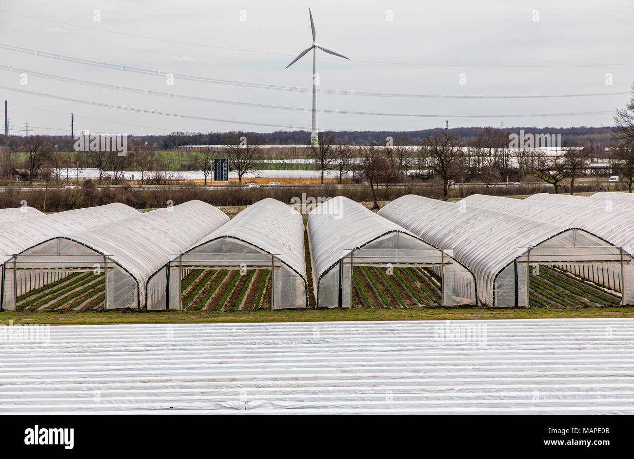 Agriculture, Greenhouses, mobile, made of plastic, plastic tunnel, for