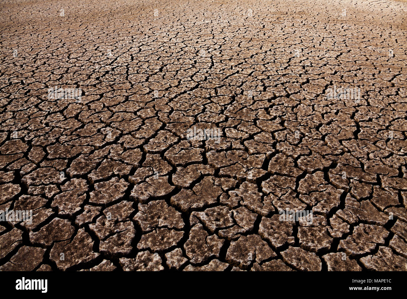 Cracked Soil Ground Earth Texture Background Stock Photo Alamy Cracked Soil Ground Earth Texture Background Stock Photo Alamy