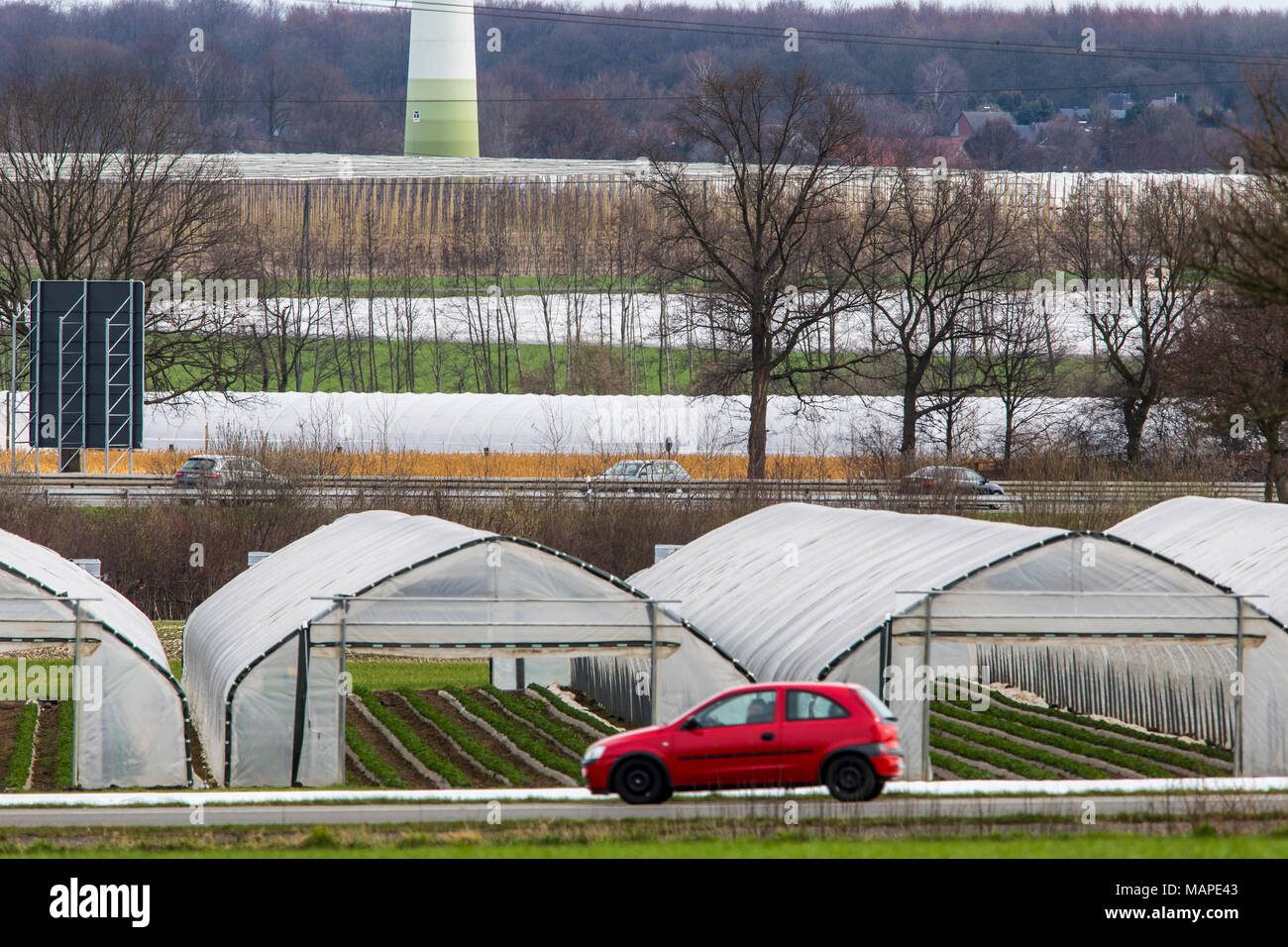 Agriculture, Greenhouses, mobile, made of plastic, plastic tunnel, for