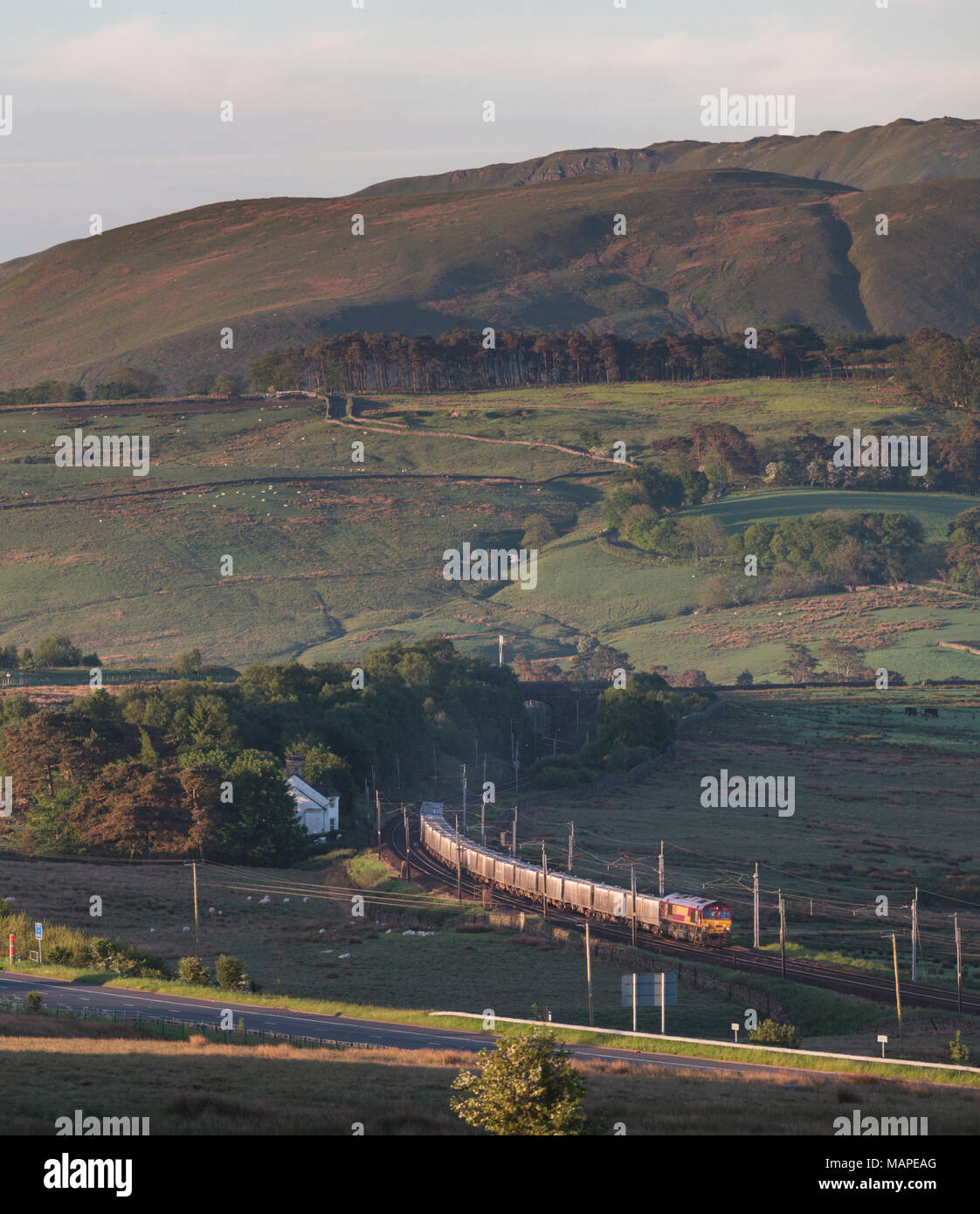 DB cargo Class 66 locomotive on the west coast main line in Cumbria at Tebay with a freight train in the early morning in summer. Stock Photo