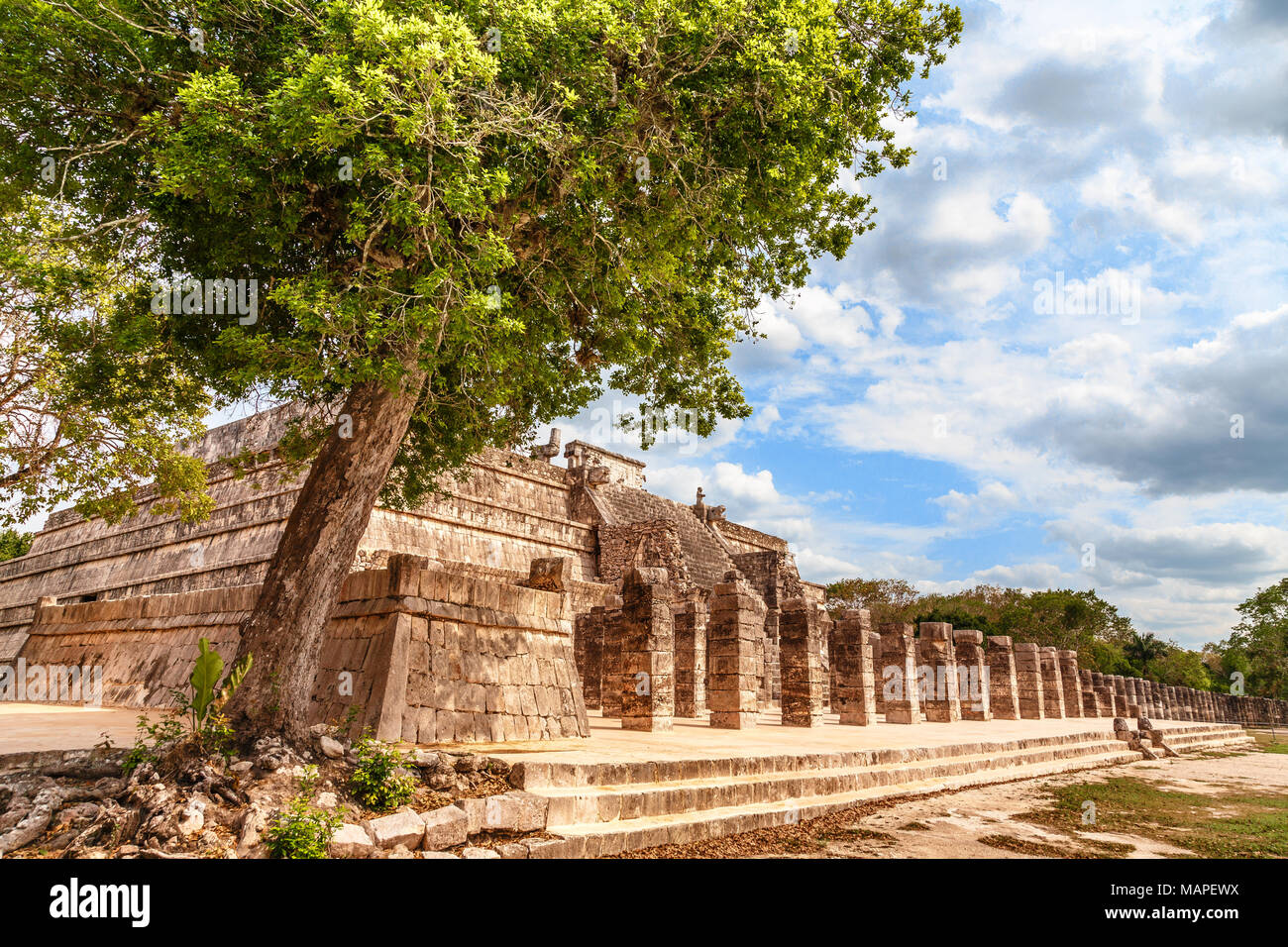 Group of thousand columns complex and tree in foreground, Chichen Itza archaeological site, Yucatan, Mexico Stock Photo
