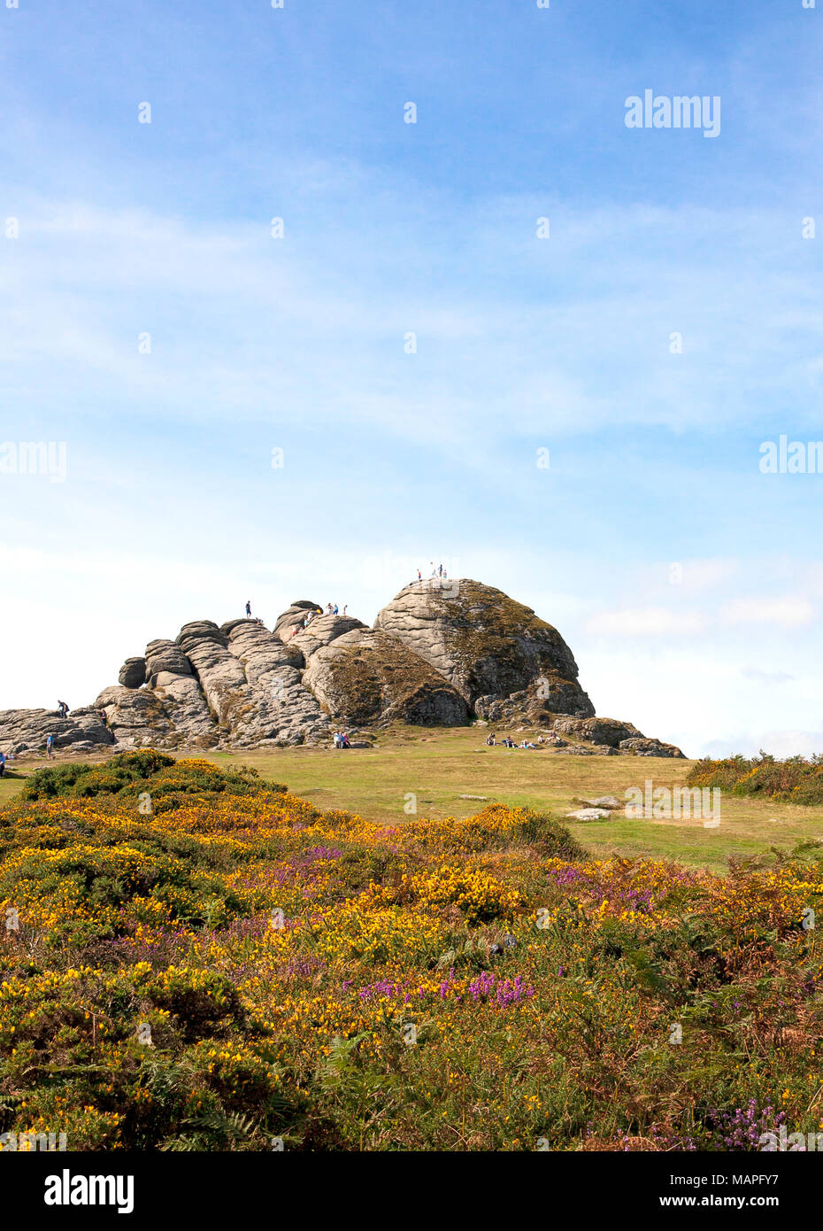 People walking up to, on, and around a massive rock formation called Haytor in Dartmoor, Devon, England. These rocks and its adjacent visitor center a Stock Photo