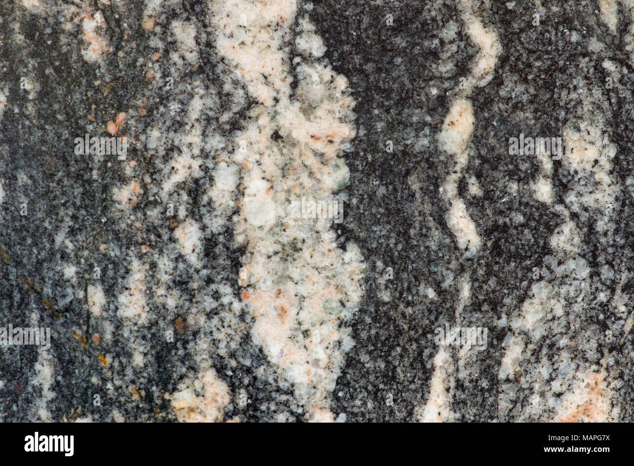 Close up of Acasta Gneiss (4.03 billion years old) from NWT, Canada. Oldest intact crust on Earth. Stock Photo