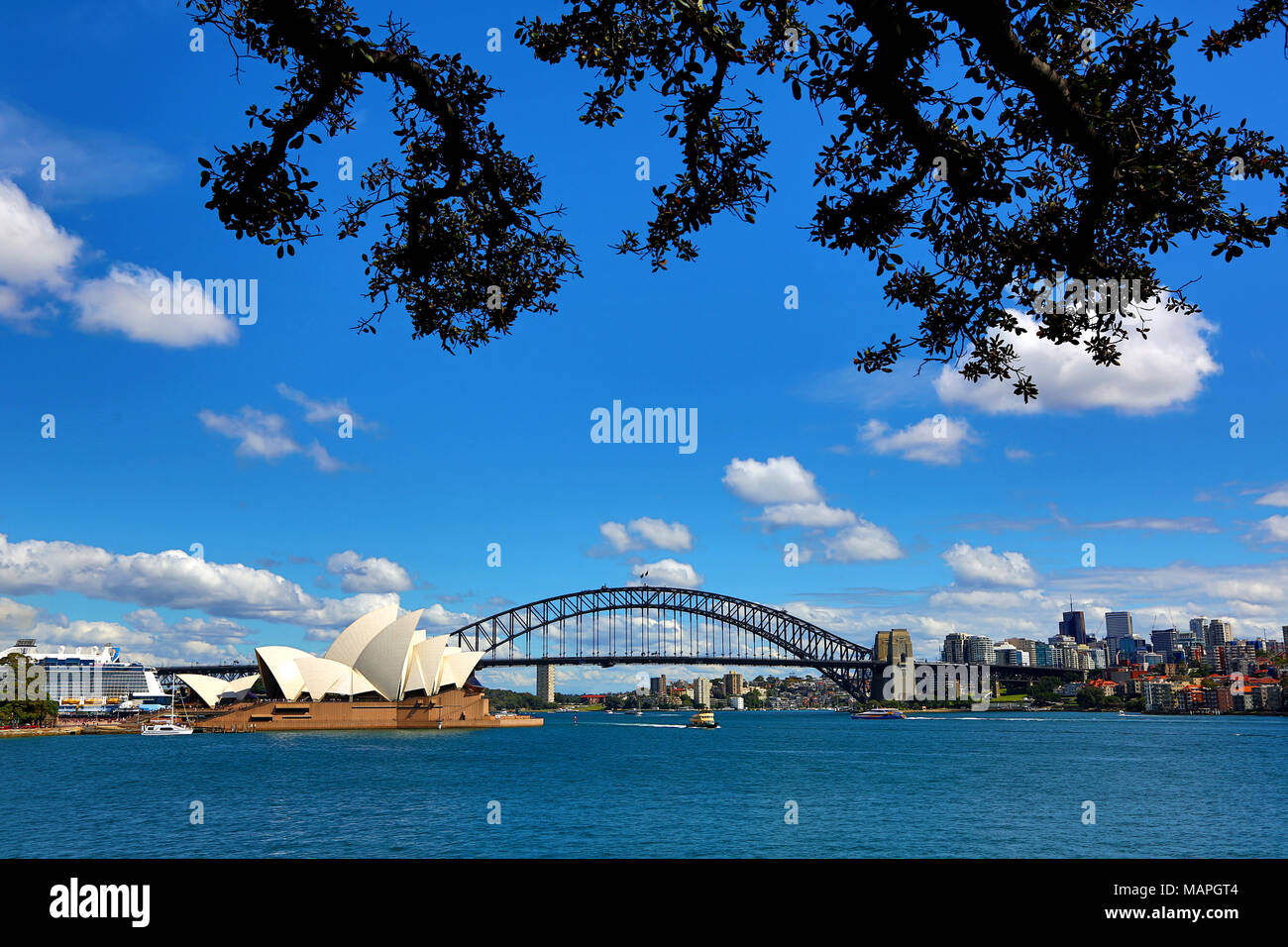 Sydney Opera House and Harbour Bridge, Sydney, New South Wales, Australia Stock Photo