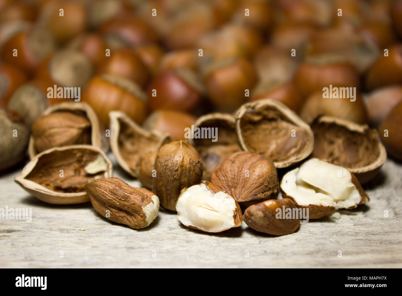 Hazelnut in shell hires stock photography and images Alamy