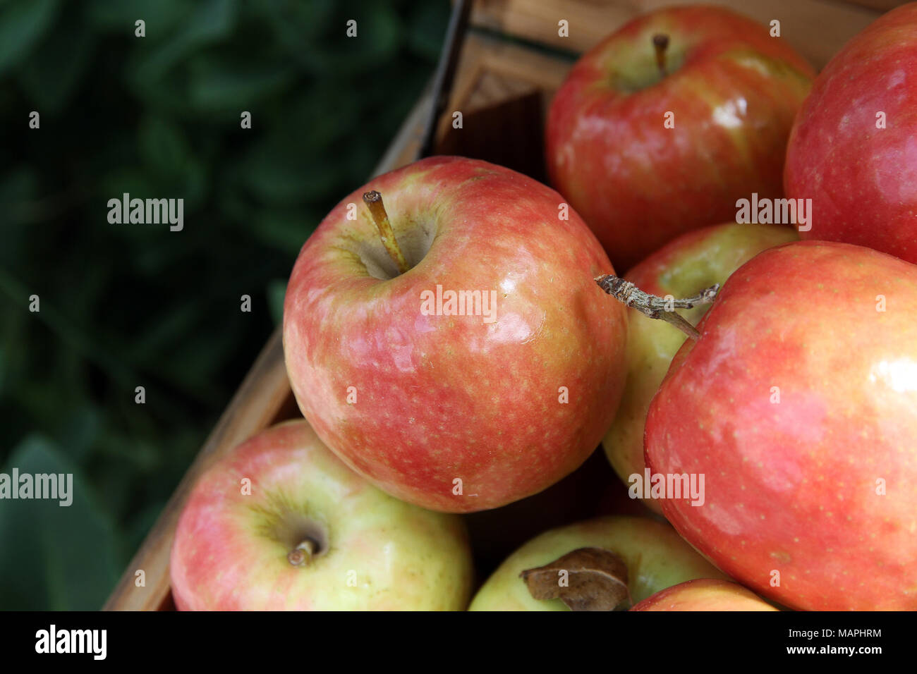 Food produce fruit apples hires stock photography and images Alamy