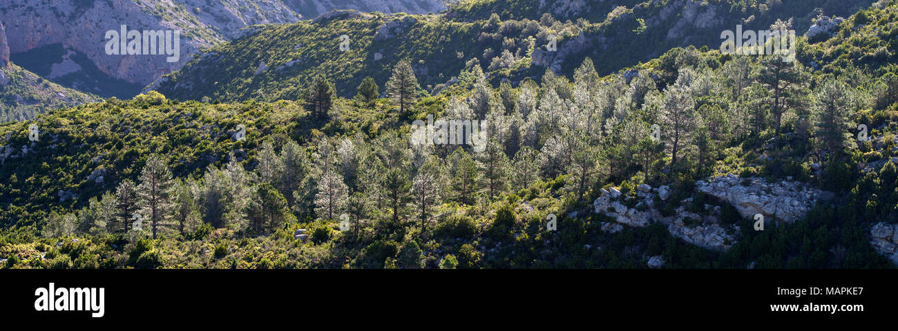 landscape image at Puertos de Beceite national park showing the beautiful rocky hills with dense vegetation and nice morning sunlight, Spain Stock Photo