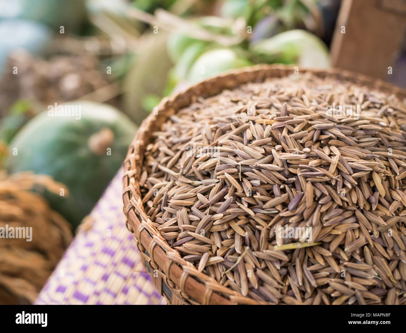 paddy rice in bamboo basket, Stock Photo