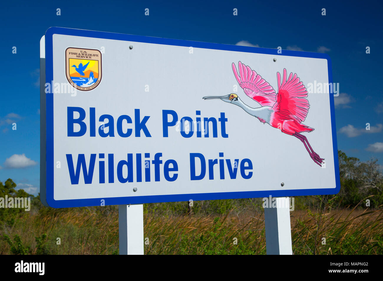 Black Point Wildlife Drive sign, Merritt Island National Wildlife Refuge, Florida Stock Photo