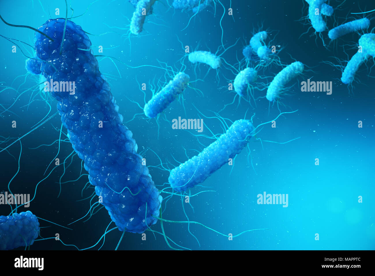 3D illustration Enterobacterias. Gram negativas Proteobacteria, bacteria such as salmonella, escherichia coli, yersinia pestis, klebsiella Stock Photo