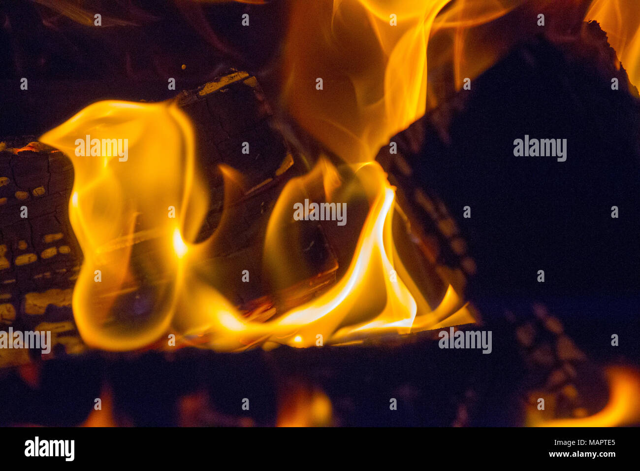 Logs burning in a log fire Stock Photo