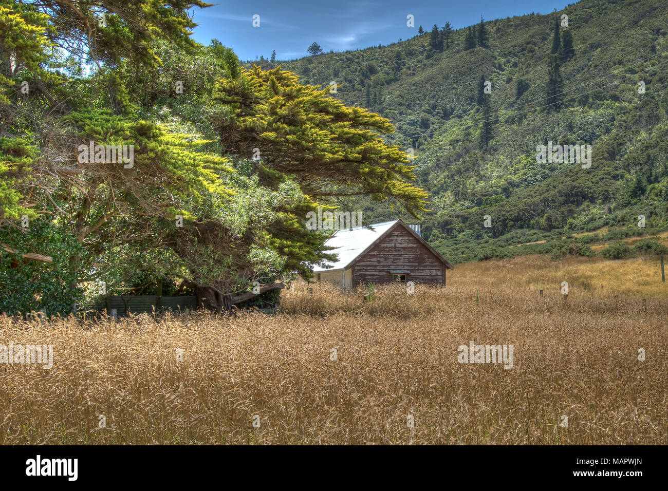 Picton New Zealand Scenes Stock Photo - Alamy