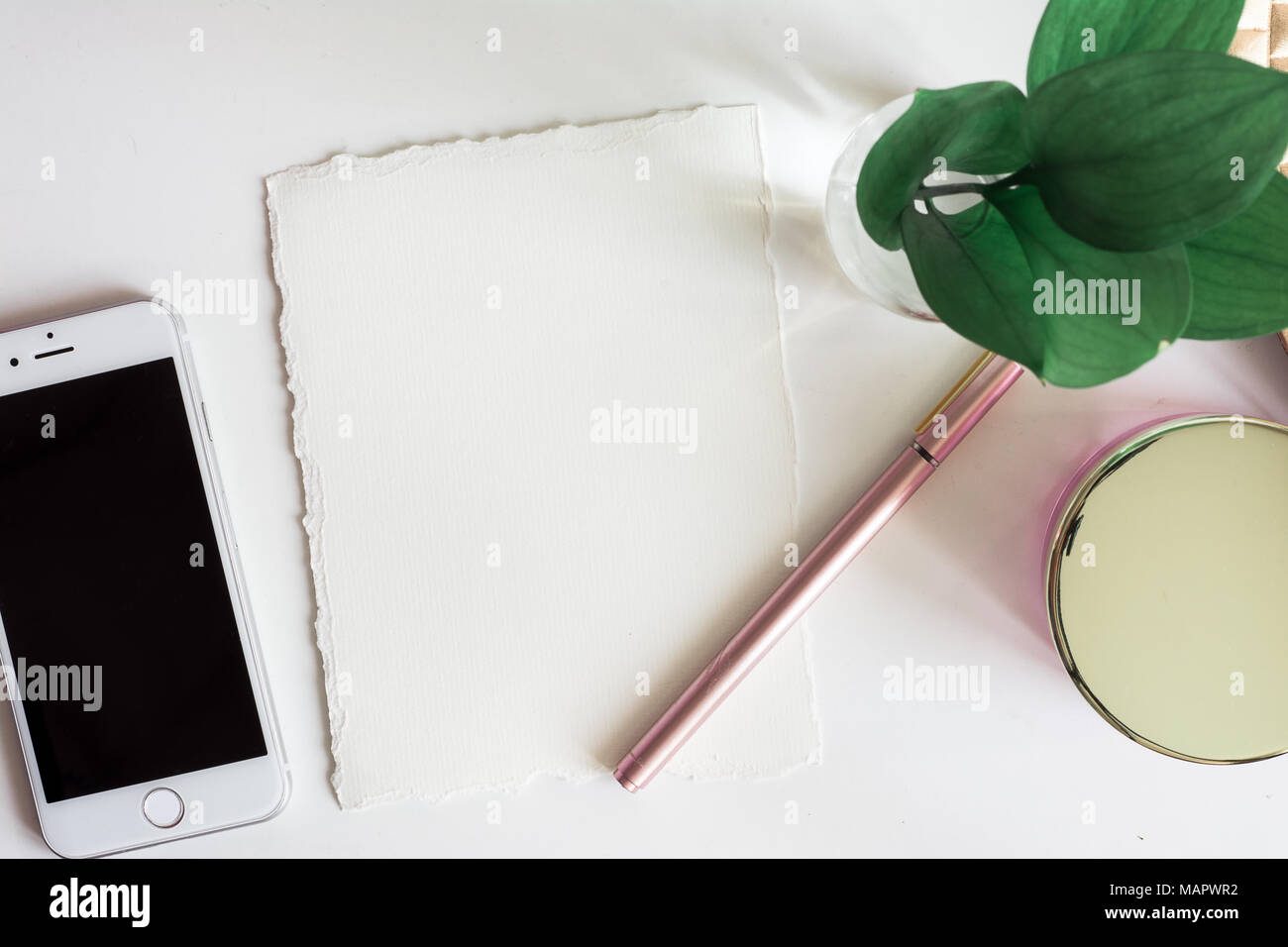 Business desktop with white paper, pink pen and green leaves Stock Photo