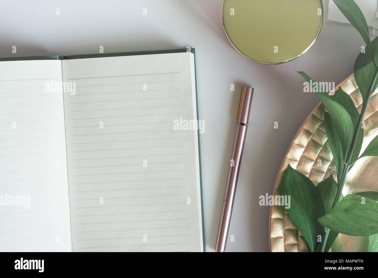Business desktop with notebook copy space, pink glass box and green leaves Stock Photo