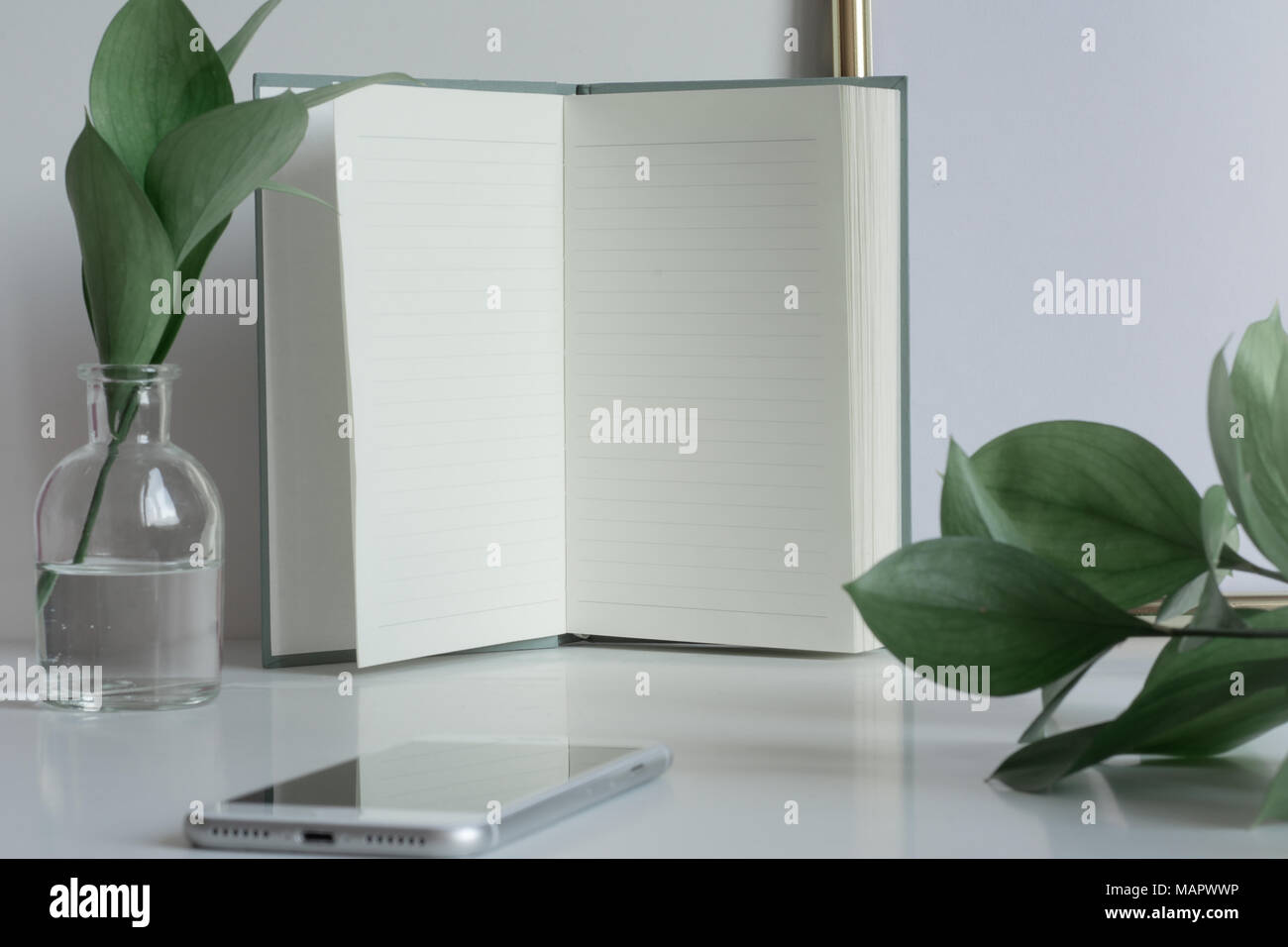 Business desktop with notebook pages, glass vase and green leaves Stock Photo