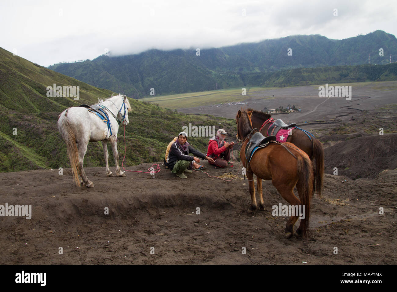 Horsemen and horses on the banks of Mount Bromo volcano, Eastern Java, Indonesia, Southeast Asia, Asia Stock Photo