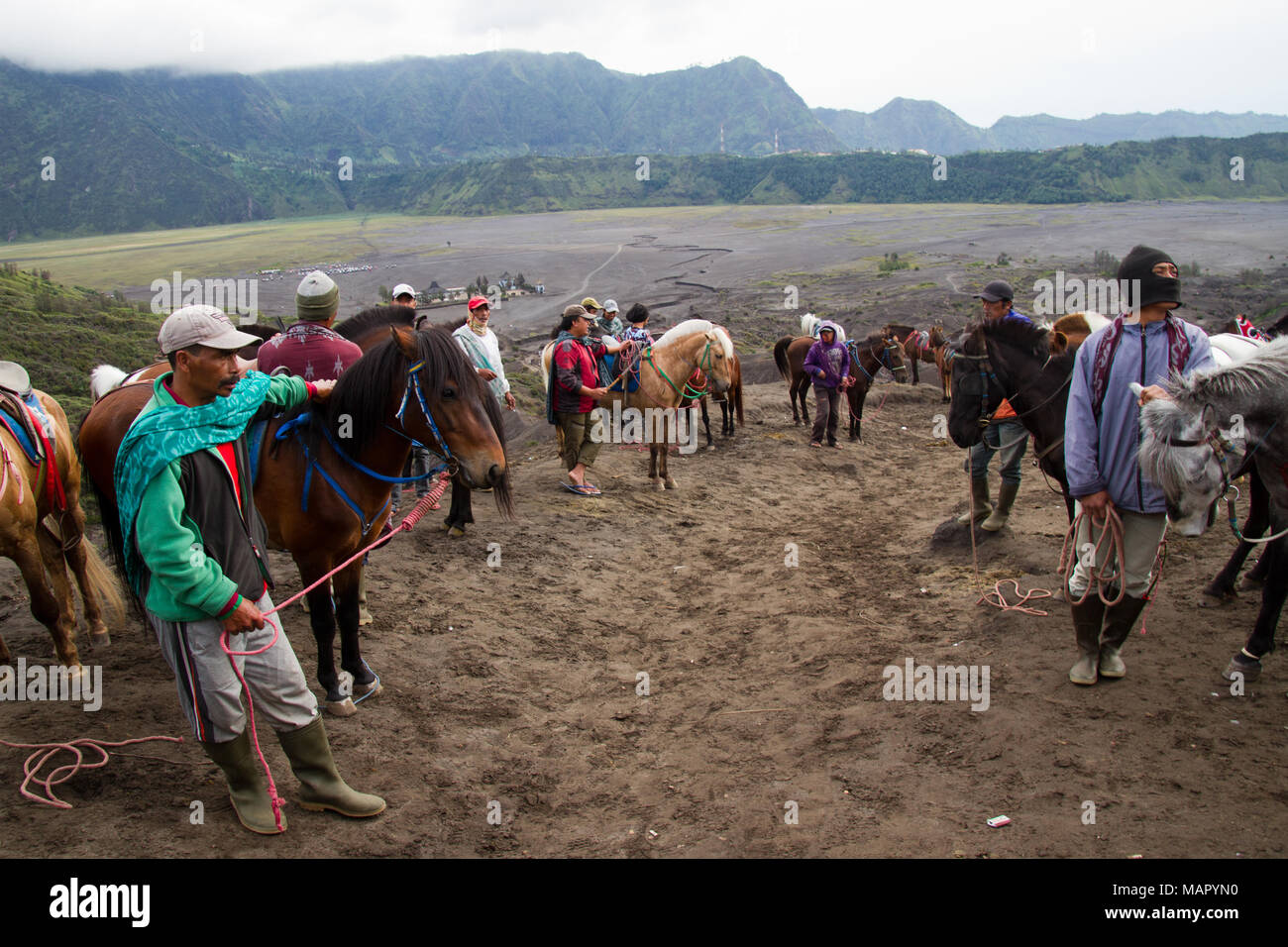 Horsemen on Mount Bromo volcano, Eastern Java, Indonesia, Southeast Asia, Asia Stock Photo