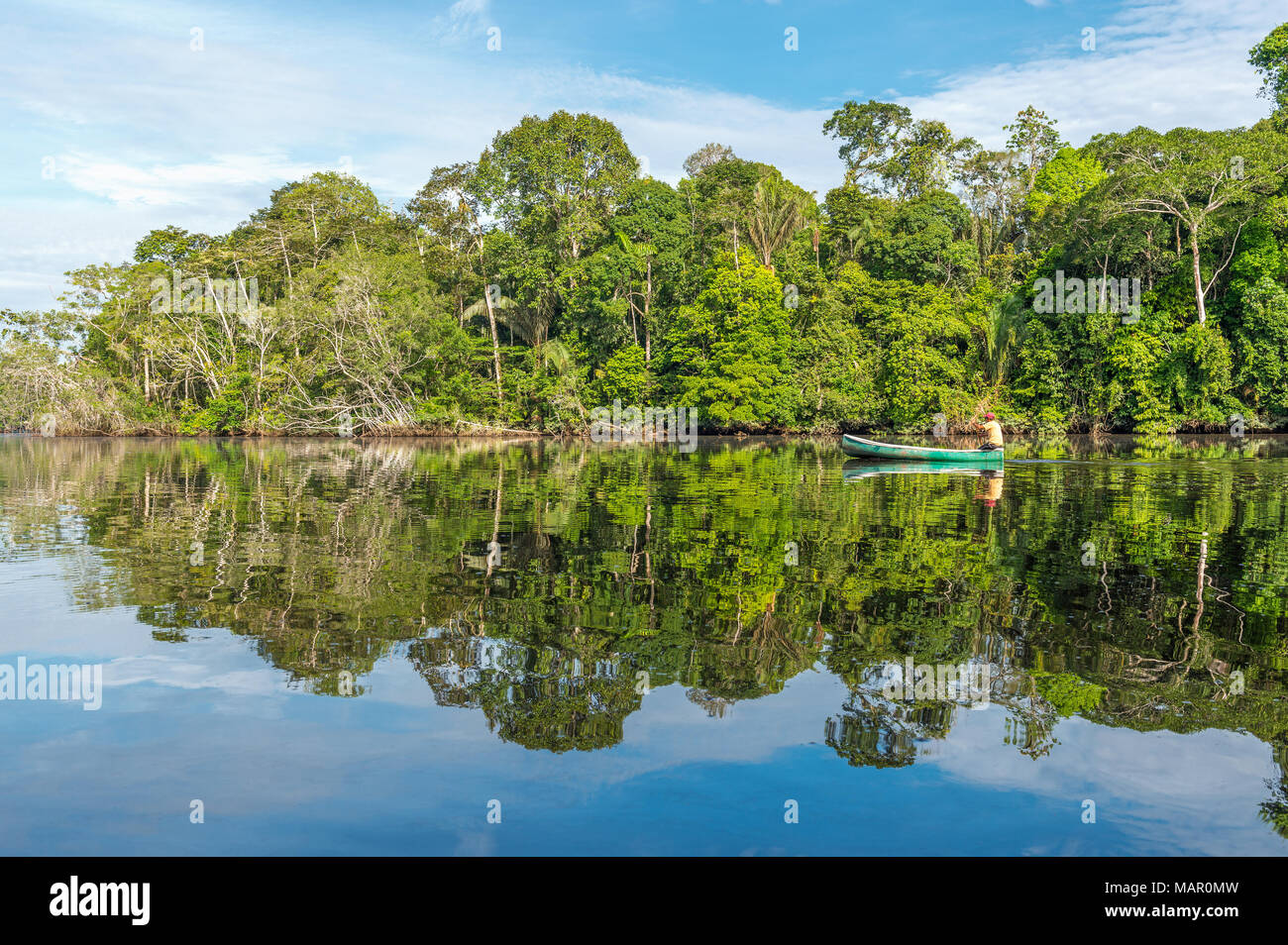 Indigenous man paddling on canoe through the Amazon river. The Amazon basin comprise Guyana, Ecuador, Peru, Brazil, Colombia, Venezuela and Bolivia. Stock Photo