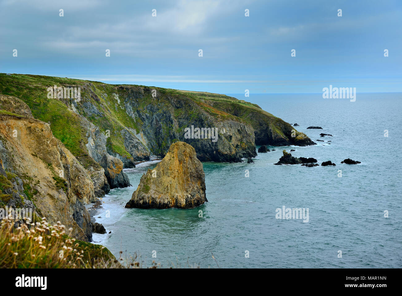 Coastal Cliffs, Copper Coast Drive, County Waterford, Munster, Republic