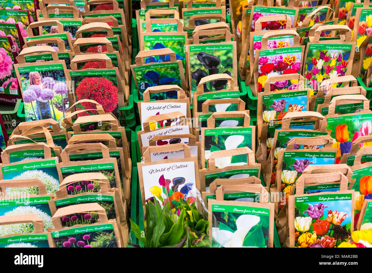 Flower seeds for online sale
