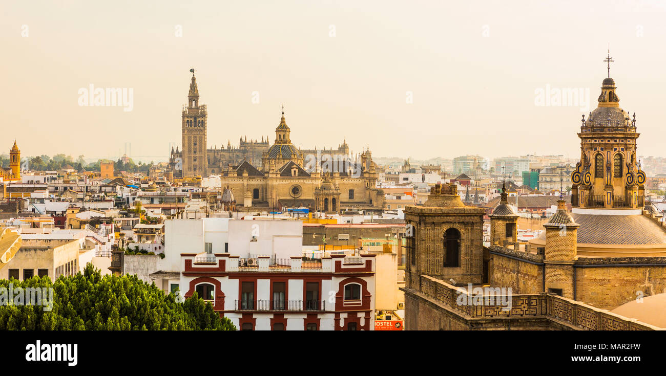 The view of the city and Seville Cathedral from the top of Metropol Parasol, Seville, Andalucia, Spain, Europe Stock Photo