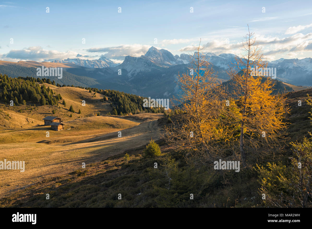 Odle mountain range at sunrise, Alpe di Siusi, Trentino, Italy, Europe Stock Photo