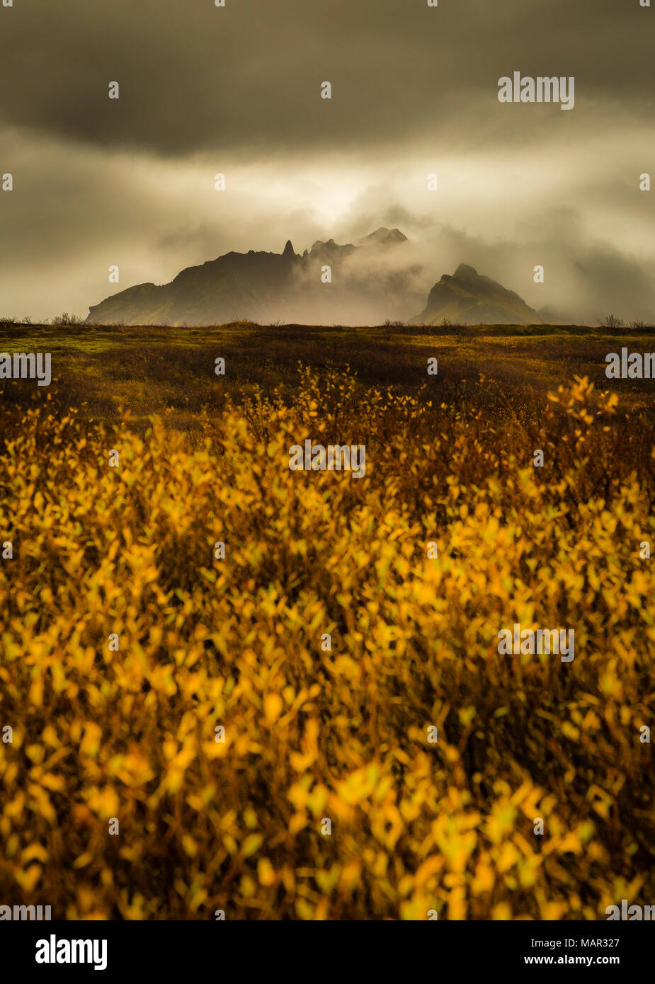 Misty mountain scene hi-res stock photography and images - Alamy