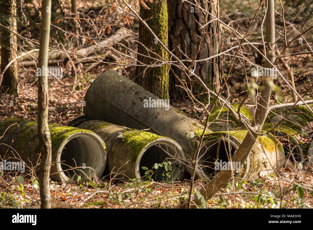 Big concrete pipes in the middle of the forest Stock Photo