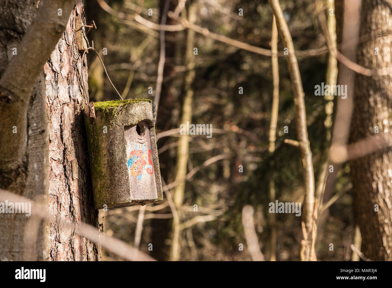 Little bird table on a big old tree Stock Photo