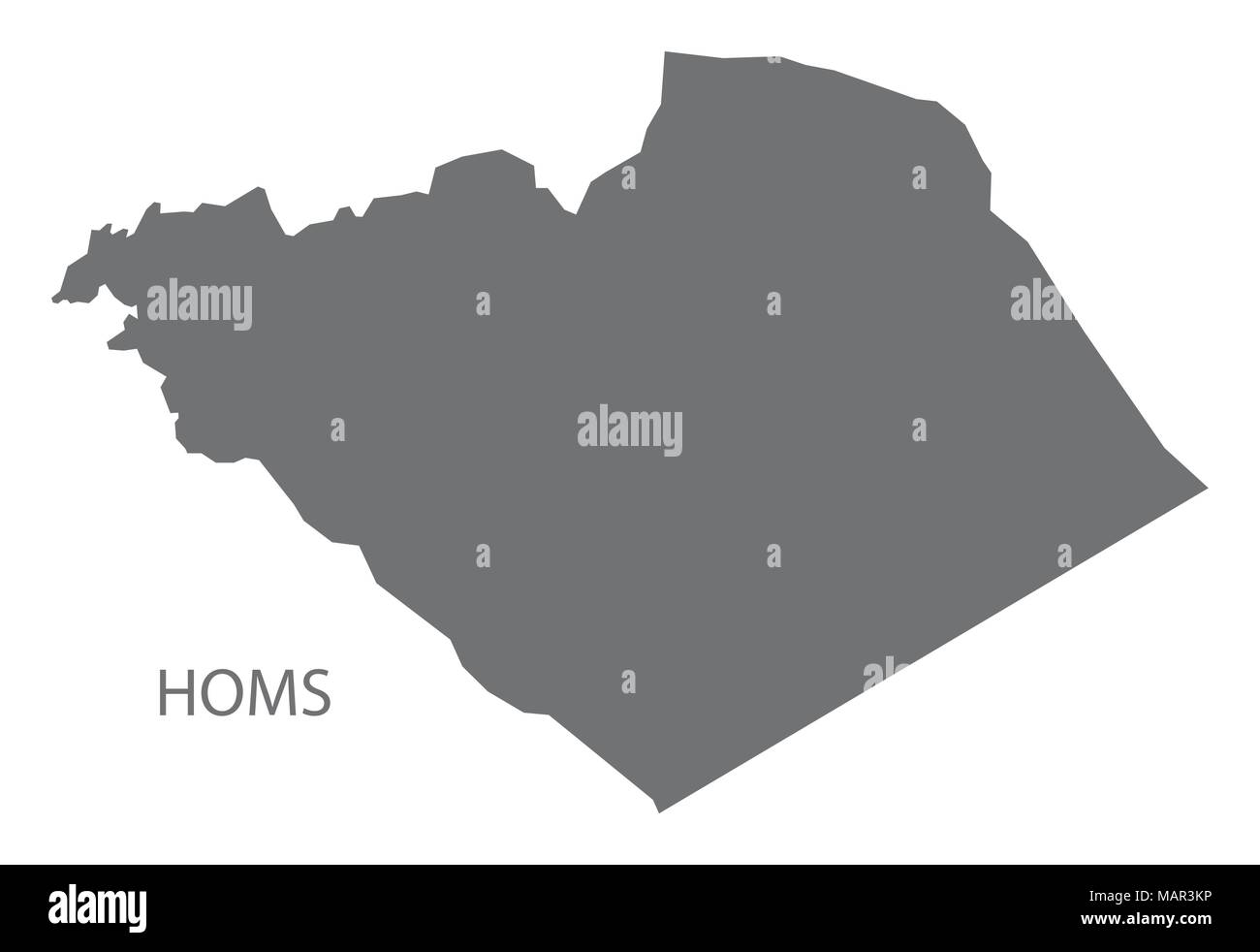 Homs map of Syria grey illustration shape Stock Vector