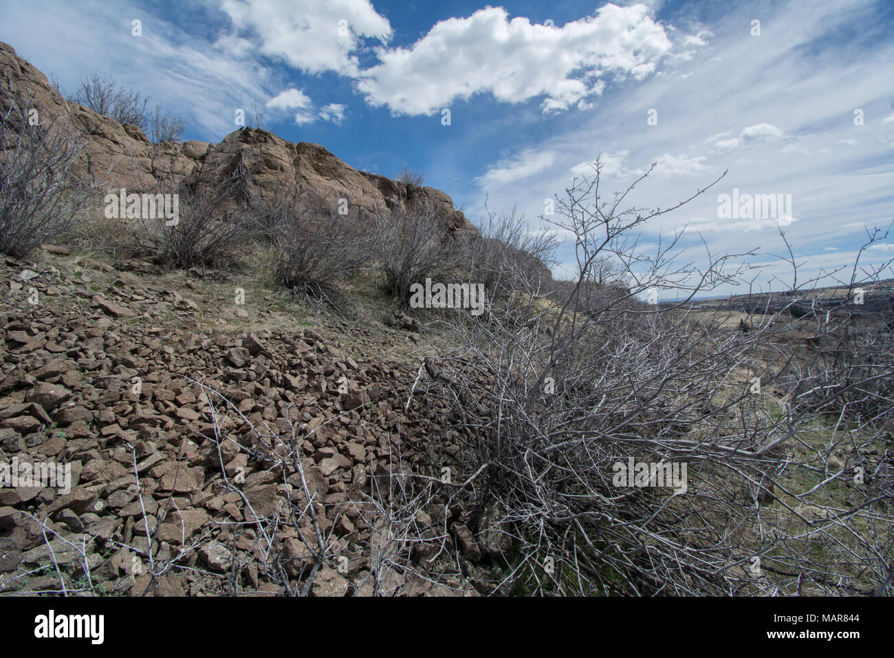 Shrubland hires stock photography and images Alamy