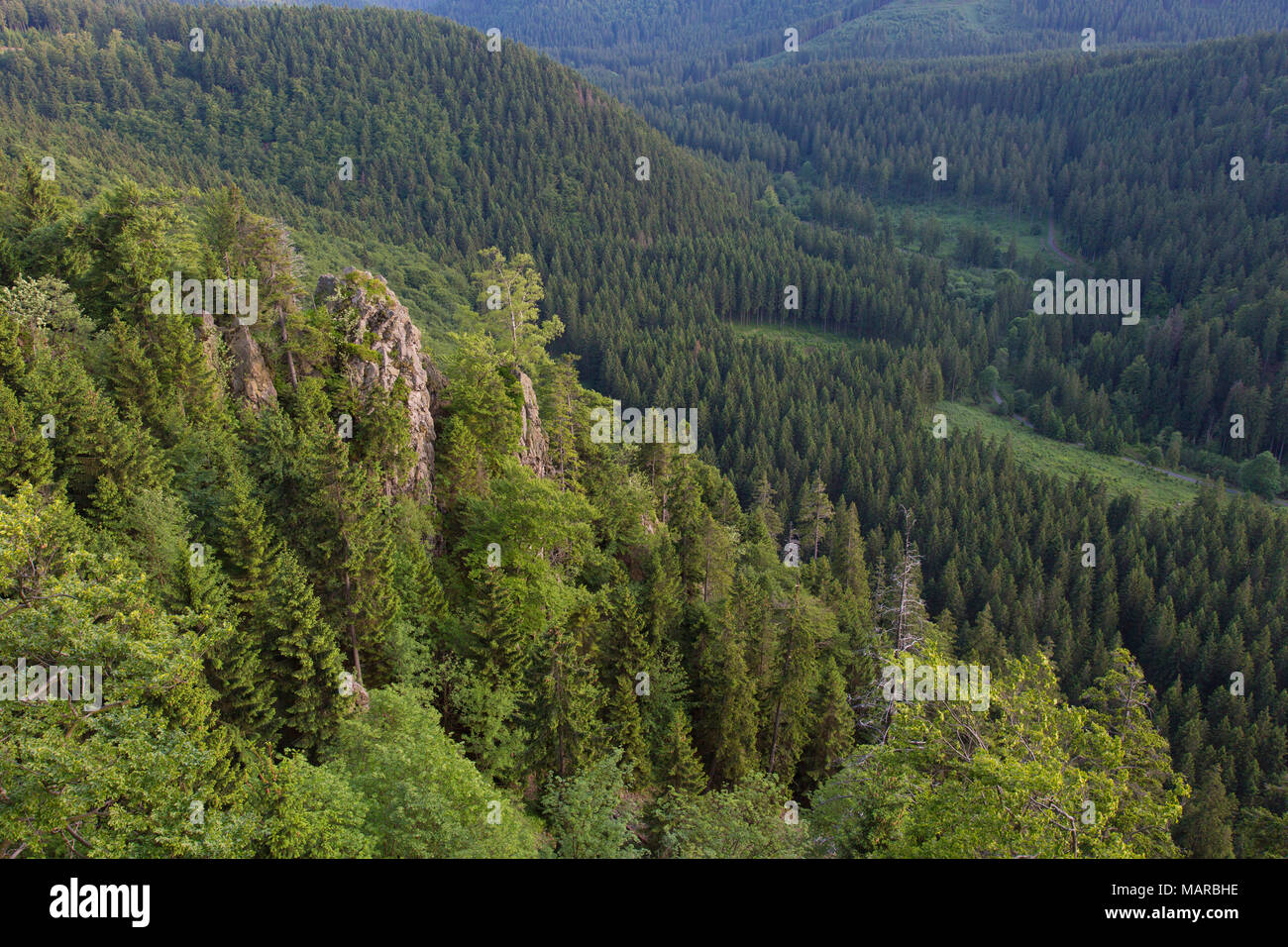 Hahnenklee Crags at Harz National Park, Lower Saxony, Germany Stock Photo