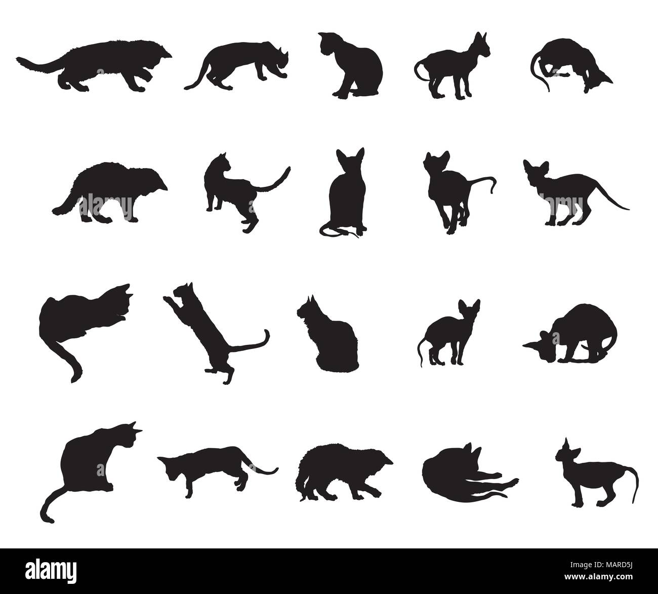 Set of different breeds cats silhouettes (sitting, standing, lying, playing) in black color isolated on white background. Vector  monochrome illustrat Stock Vector