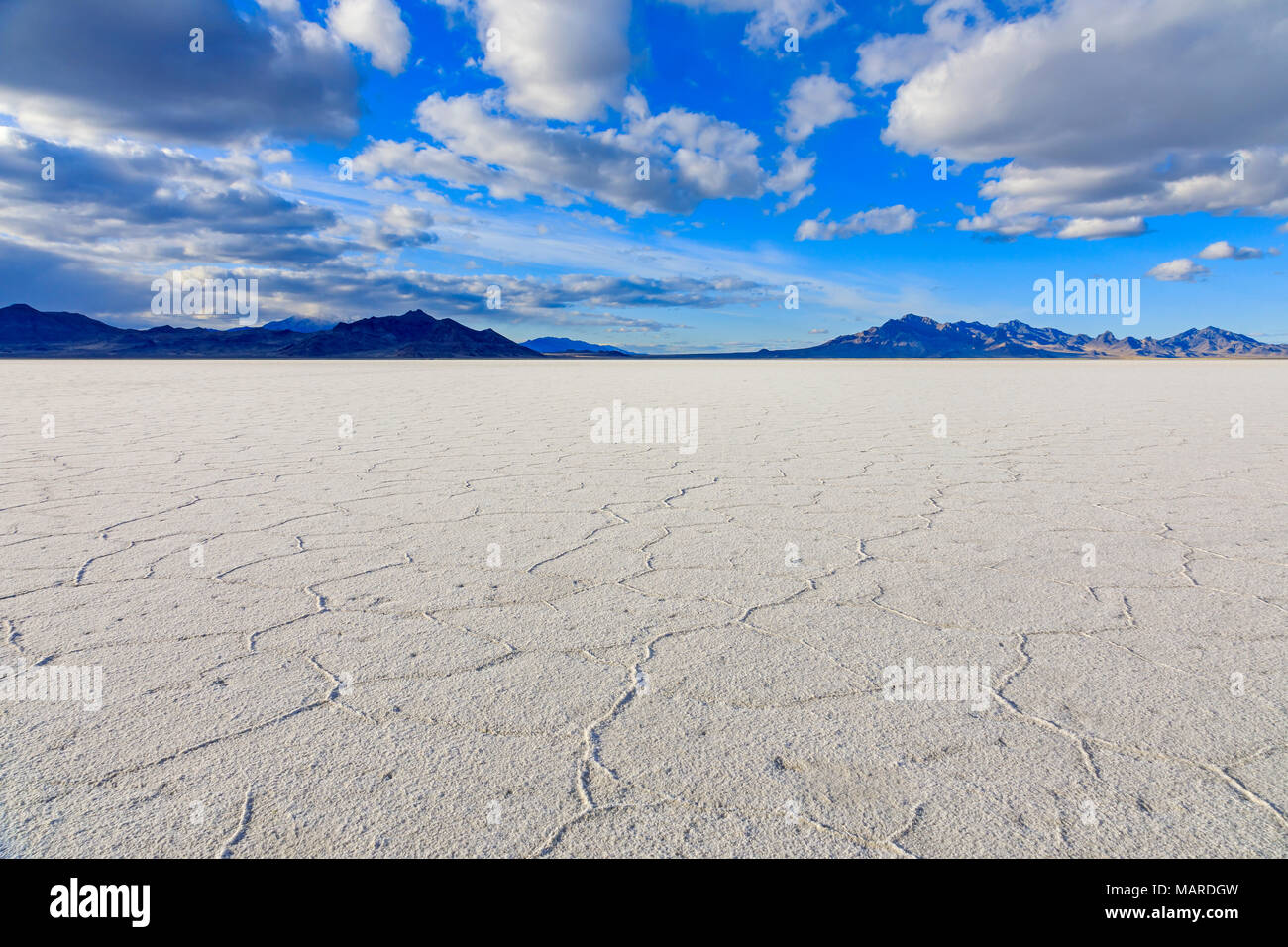 This is a view of the salt ridges on the Bonneville Salt Flats near the