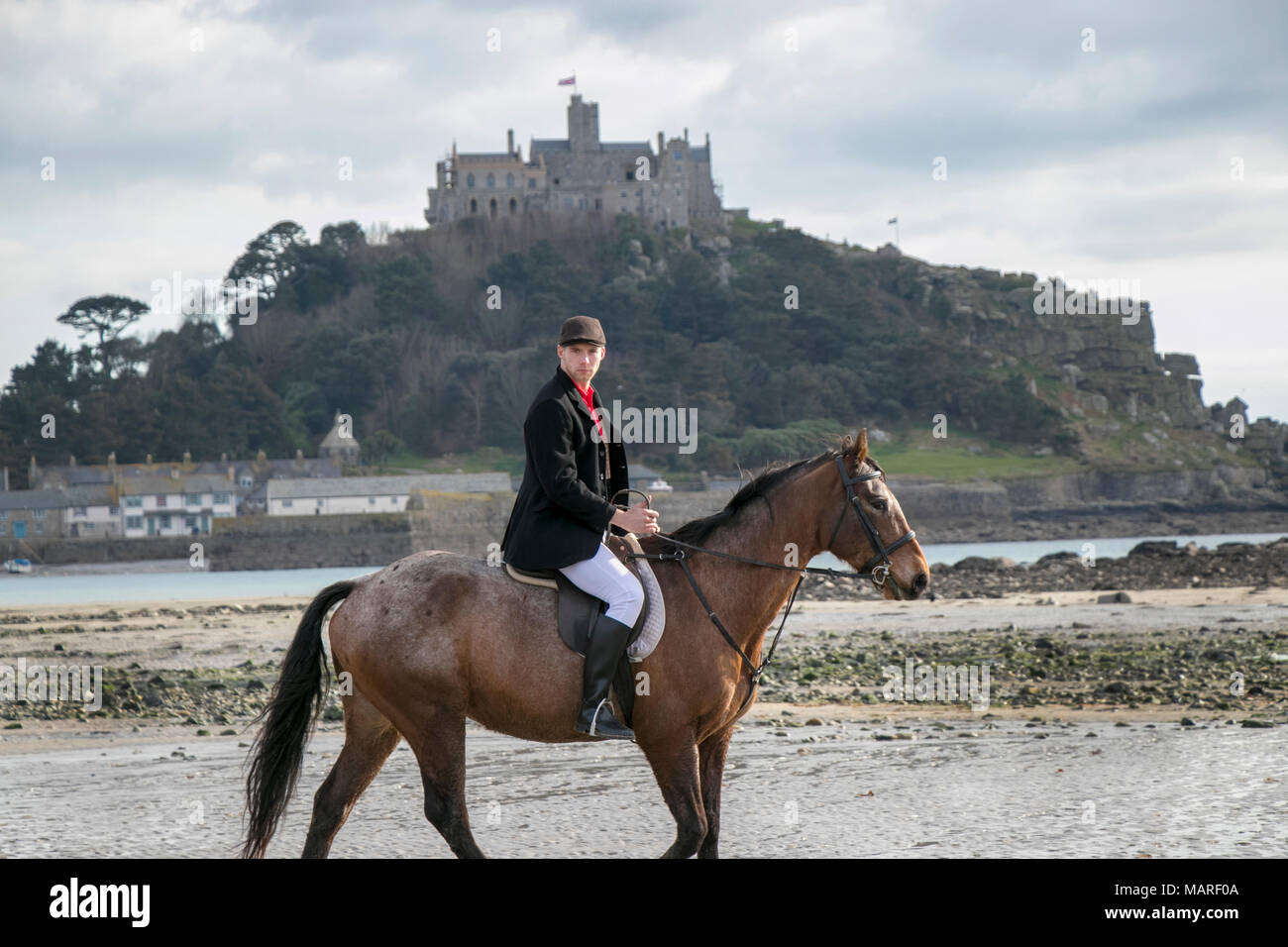 Young male horse hi-res stock photography and images - Alamy